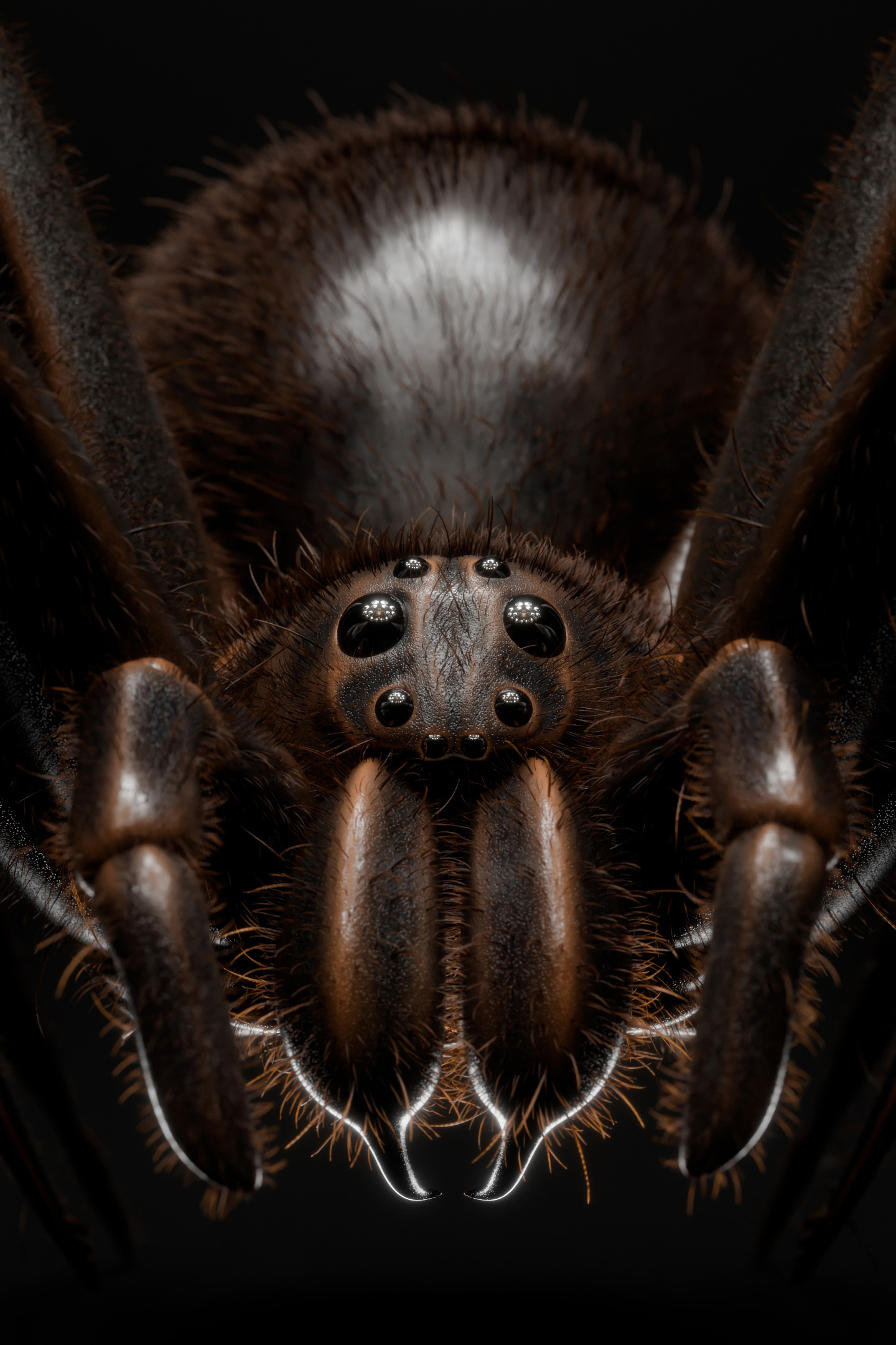 3D render: a jumping spider close up in the dark